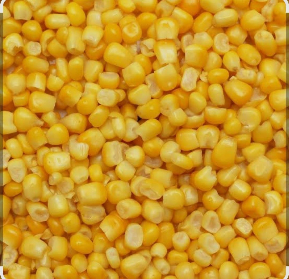 Sweetcorn Catering Tins - 1775gr